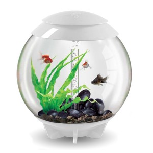 Set complet acvariu cu decoratiuni BiOrb Halo 60 litri MCR, Alb
