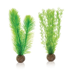 Set decoratiune feriga verde mica, Biorb