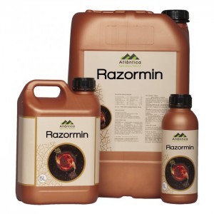 Biostimulator pentru inradacinare Atlantica Razormin