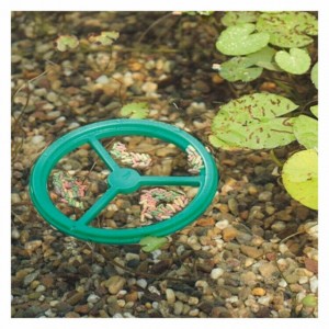 Accesoriu hrana pesti pentru iaz PondoFeed Ring