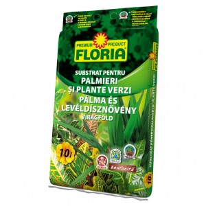Substrat pentru palmieri si plante verzi Floria