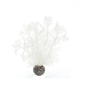 Decoratiune planta marina alba mica