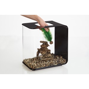 Set decoratiune feriga verde mica, Biorb