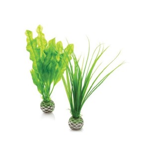 Decoratiuni alge marine mici Biorb