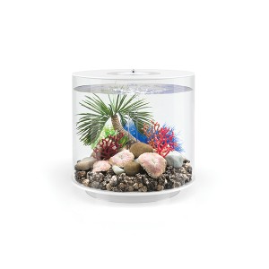 Decoratiune biOrb palmier Seychelles, S