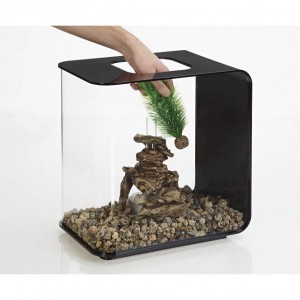 Set decoratiuni acvariu biOrb ferigi gri / verde, S