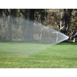 Duze pentru furtun cu jet reglabil Hunter SpotShot, 3/4''
