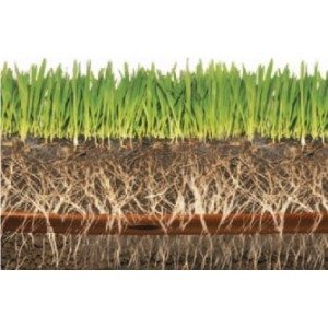 Tub picurare subteran RainBird XFS, 100 metri