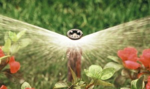 Duza spray RainBird 6VAN