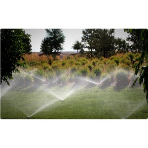 Aspersor spray fara duza Hunter PS-Ultra, 10 cm
