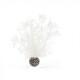 Decoratiune planta marina alba mica