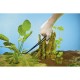 Foarfeca pentru plante acvariu Oase