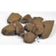 AquaHumin 10 l - protectie biologica impotriva algelor
