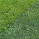Pavele ecologice Salvaprato 40x40