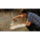 AquaActiv AlGo Universal Oase 5l