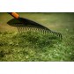 Grebla frunze cu coada Fiskars Solid M