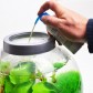 Solutie biOrb optimizare apa
