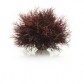 Decoratiune crin purpuriu