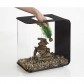 Set decoratiuni acvariu biOrb ferigi gri / verde, S