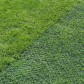 Pavele ecologice Salvaprato 40x40