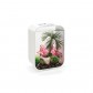 Set corali plati biOrb
