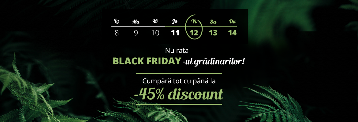 Black-Friday